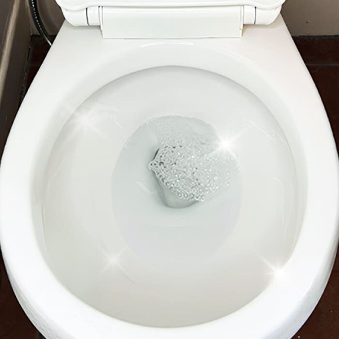Step 3: Flush